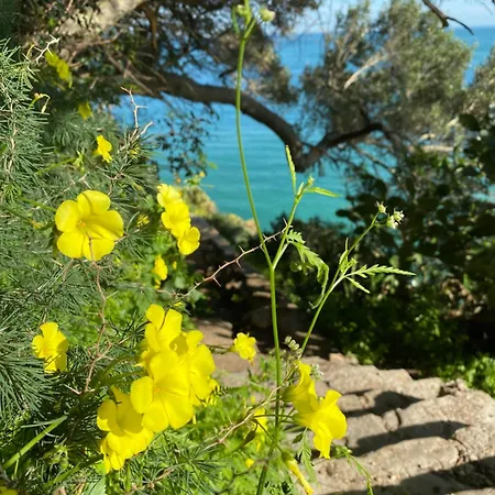 Mahakatha Appartement Sesimbra